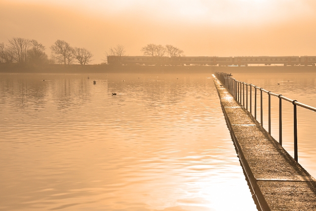 31 12 16_5159_edited-1.jpg - POOLE PARK, DORSET - 31.12.16